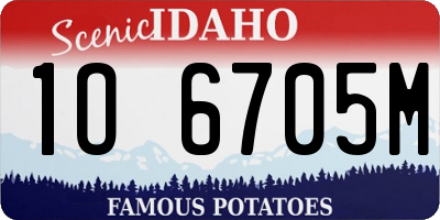 ID license plate 1O6705M
