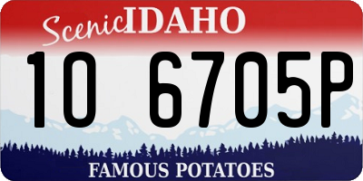 ID license plate 1O6705P