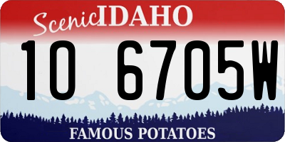 ID license plate 1O6705W
