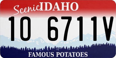 ID license plate 1O6711V