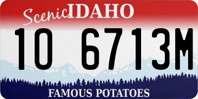 ID license plate 1O6713M