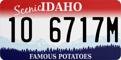 ID license plate 1O6717M