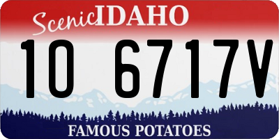 ID license plate 1O6717V