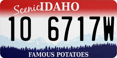 ID license plate 1O6717W