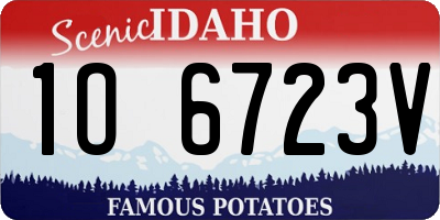 ID license plate 1O6723V