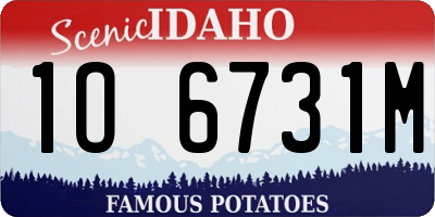 ID license plate 1O6731M