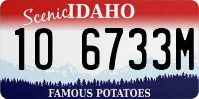 ID license plate 1O6733M