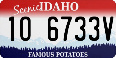 ID license plate 1O6733V
