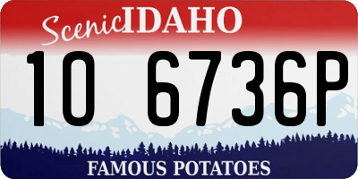ID license plate 1O6736P