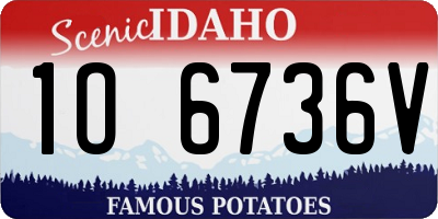 ID license plate 1O6736V