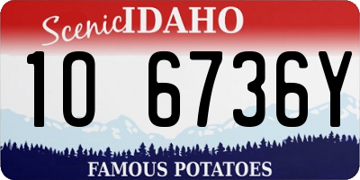 ID license plate 1O6736Y