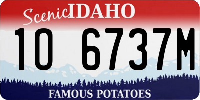 ID license plate 1O6737M