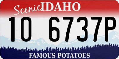 ID license plate 1O6737P