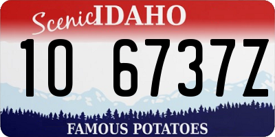 ID license plate 1O6737Z