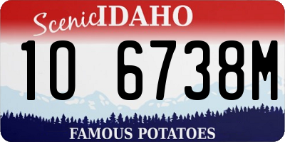 ID license plate 1O6738M