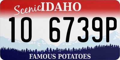 ID license plate 1O6739P