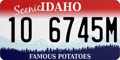 ID license plate 1O6745M