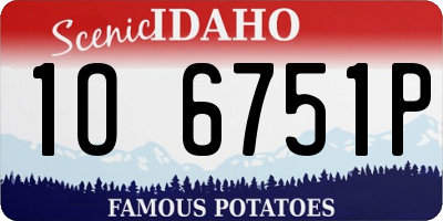 ID license plate 1O6751P