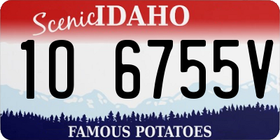 ID license plate 1O6755V