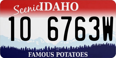 ID license plate 1O6763W