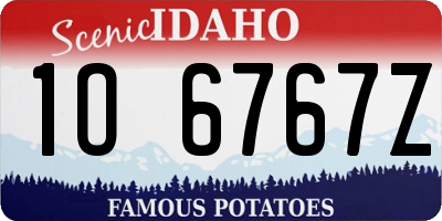 ID license plate 1O6767Z