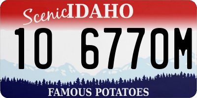 ID license plate 1O6770M