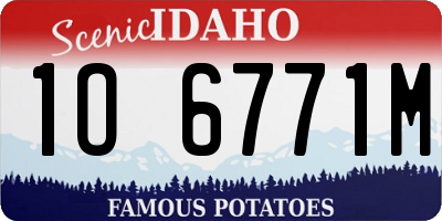 ID license plate 1O6771M