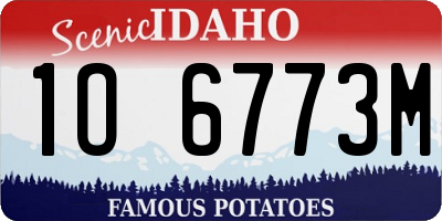 ID license plate 1O6773M