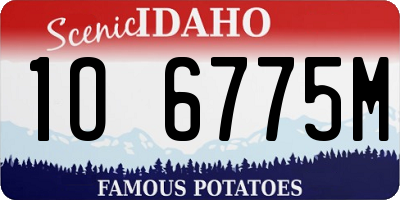 ID license plate 1O6775M