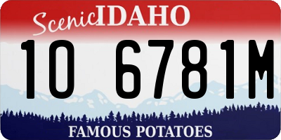 ID license plate 1O6781M
