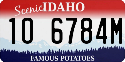 ID license plate 1O6784M
