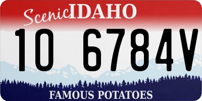 ID license plate 1O6784V