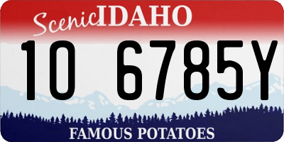 ID license plate 1O6785Y