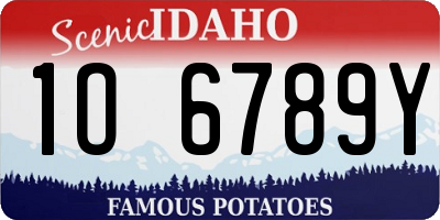 ID license plate 1O6789Y