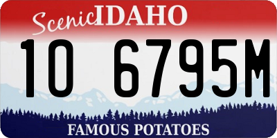 ID license plate 1O6795M