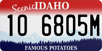 ID license plate 1O6805M