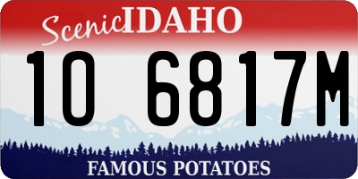 ID license plate 1O6817M