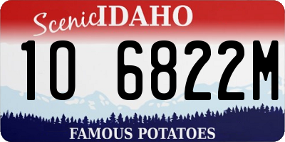 ID license plate 1O6822M