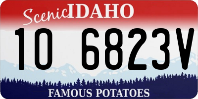 ID license plate 1O6823V