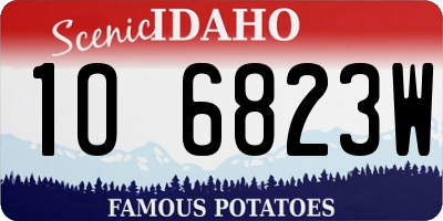 ID license plate 1O6823W
