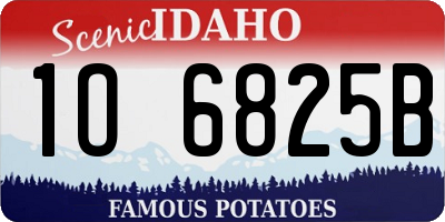 ID license plate 1O6825B