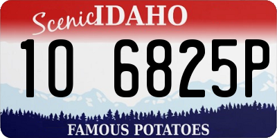 ID license plate 1O6825P