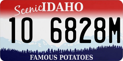 ID license plate 1O6828M