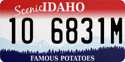 ID license plate 1O6831M
