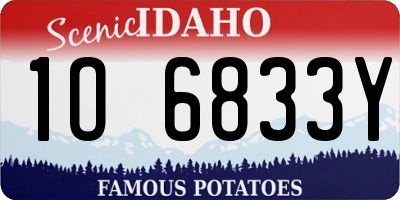 ID license plate 1O6833Y
