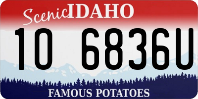 ID license plate 1O6836U
