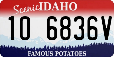 ID license plate 1O6836V