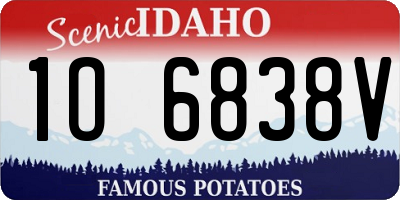 ID license plate 1O6838V