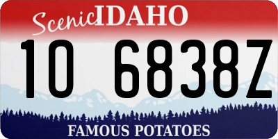ID license plate 1O6838Z