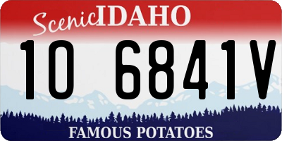 ID license plate 1O6841V
